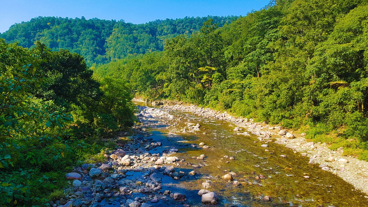 Photo of Outdoor in Sona Nadi Range