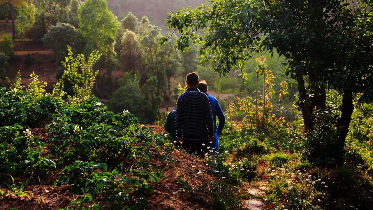 Photo of Outdoor in Mukteshwar