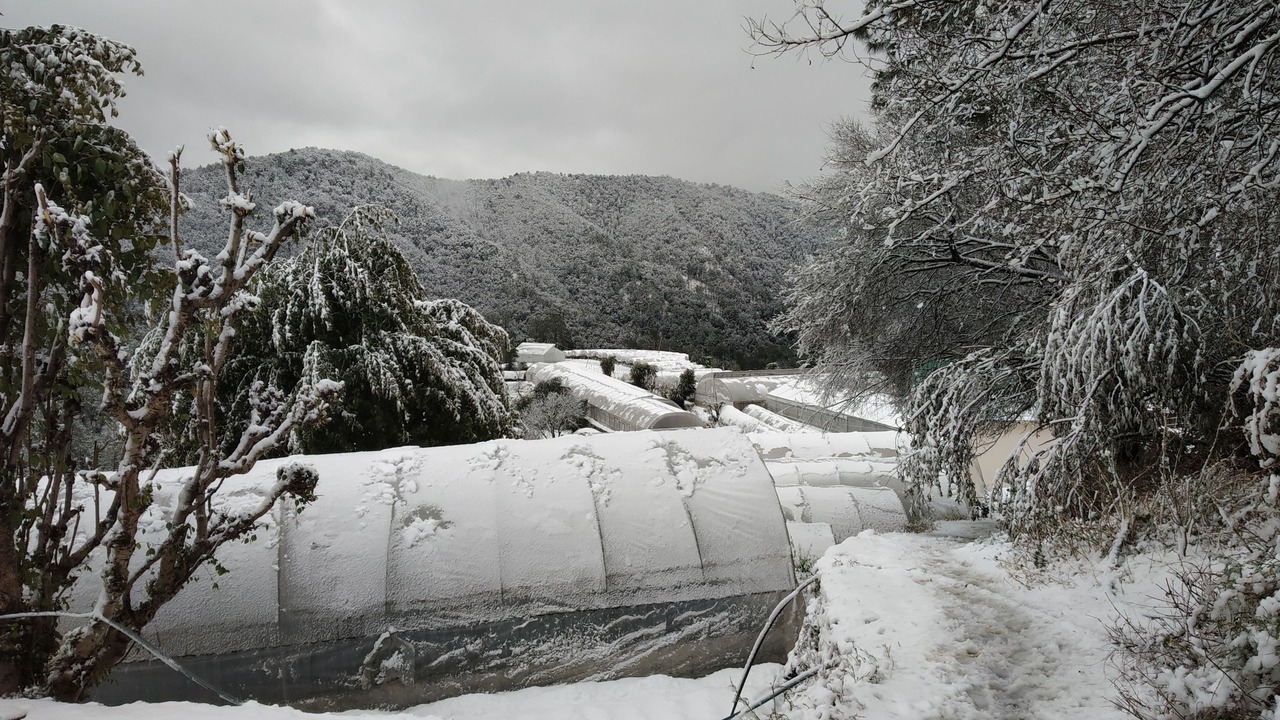 Photo of Outdoor in Chail