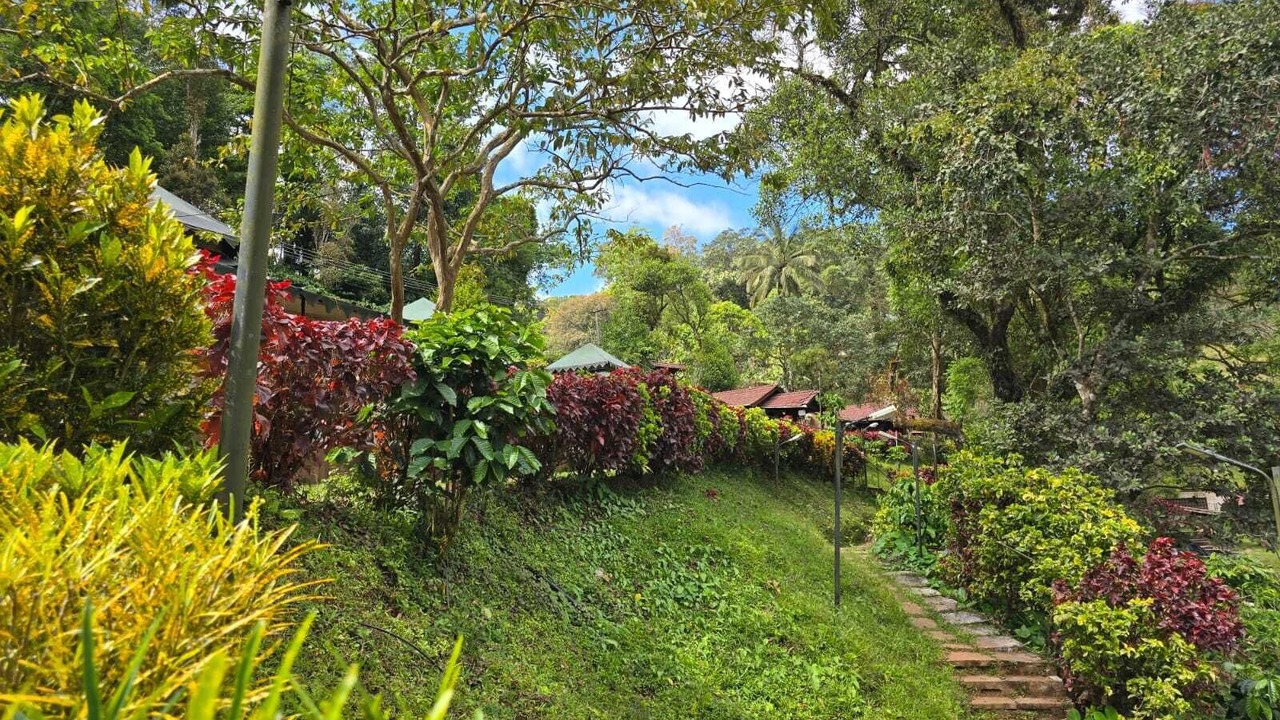 Photo of Outdoor in Madikeri