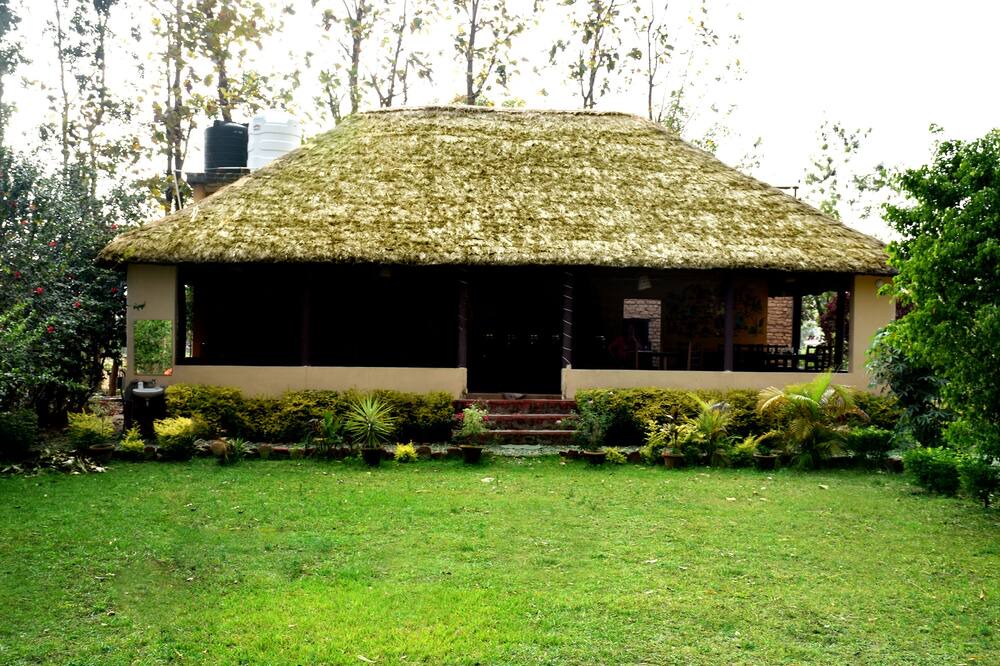 Photo of Outdoor in Bail Parao