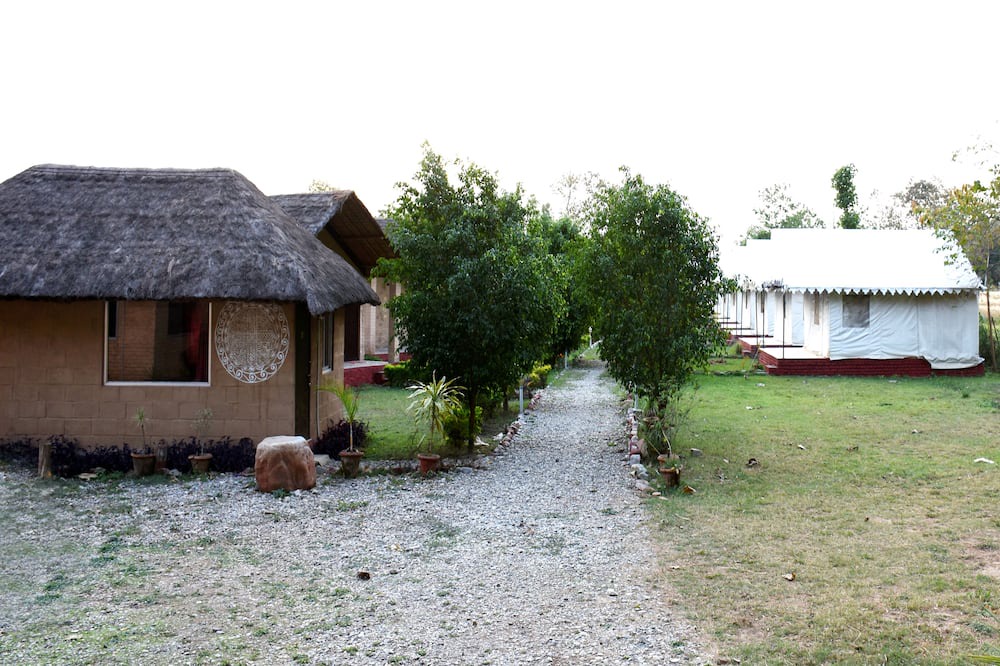 Photo of Outdoor in Bail Parao