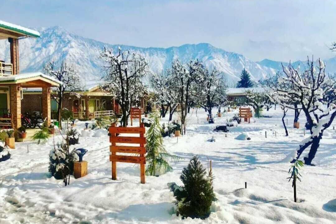 Photo of Outdoor in Brein
