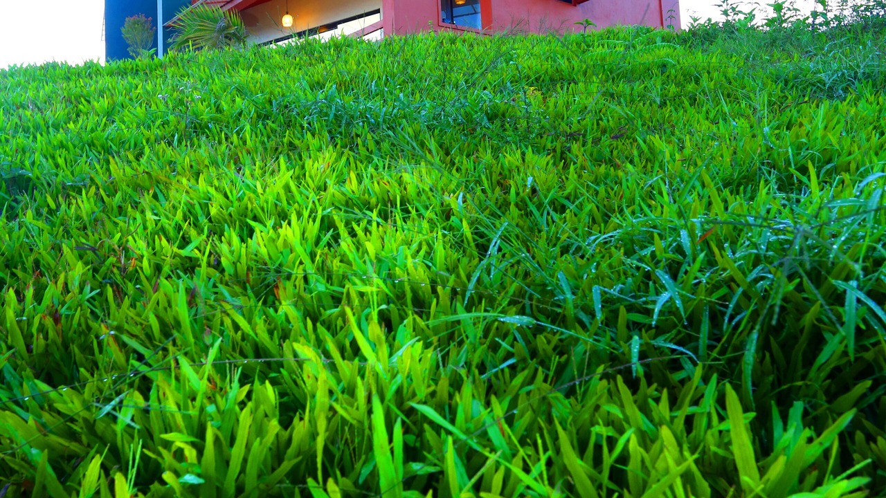 Photo of Bedroom in Thariyode