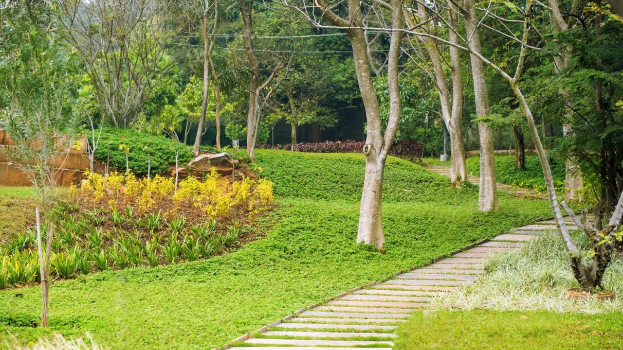 Photo of Outdoor in Agara