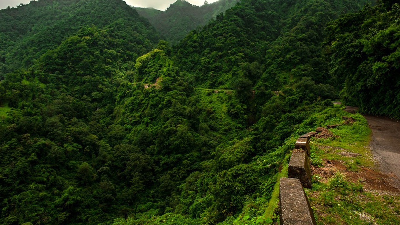 Photo of Outdoor in Tehri