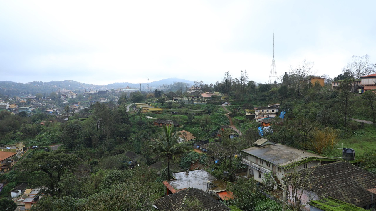 Photo of Others in Stuart Hill