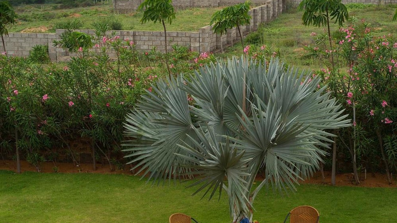 Photo of Outdoor in Kanyakumari