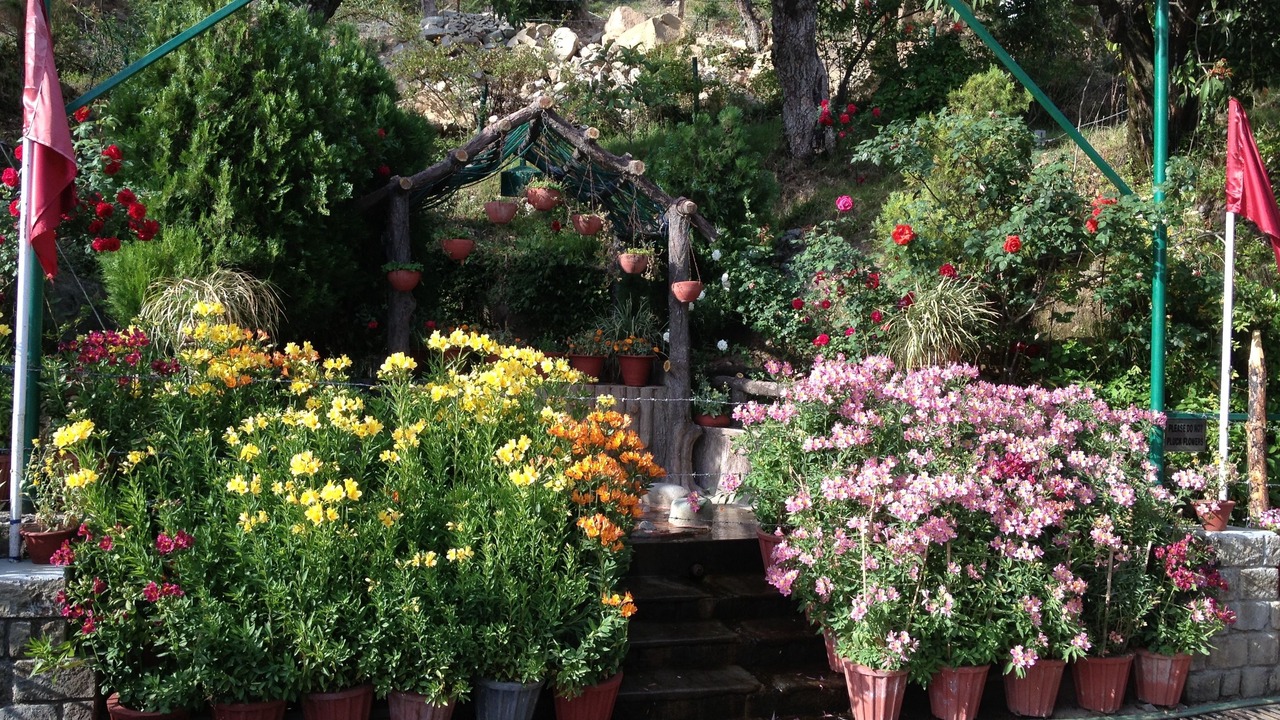 Photo of Outdoor in McLeod Ganj