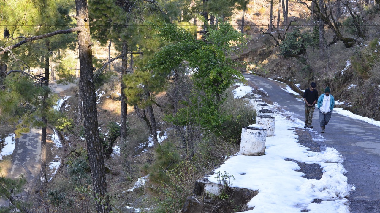 Photo of Others in McLeod Ganj