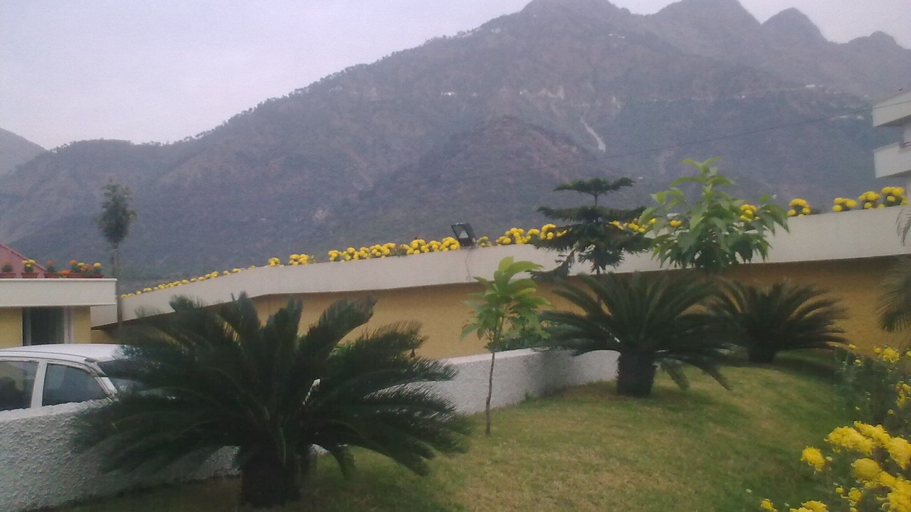Photo of Outdoor in Katra
