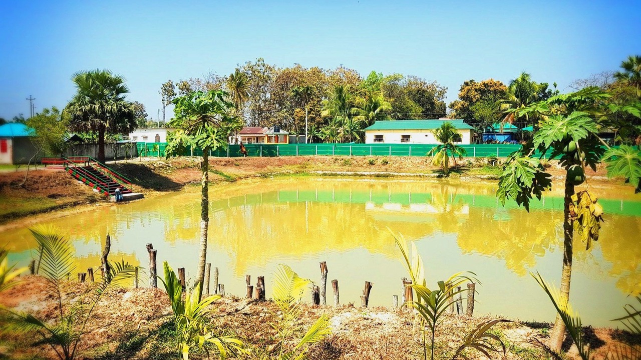 Photo of Outdoor in Pirozali