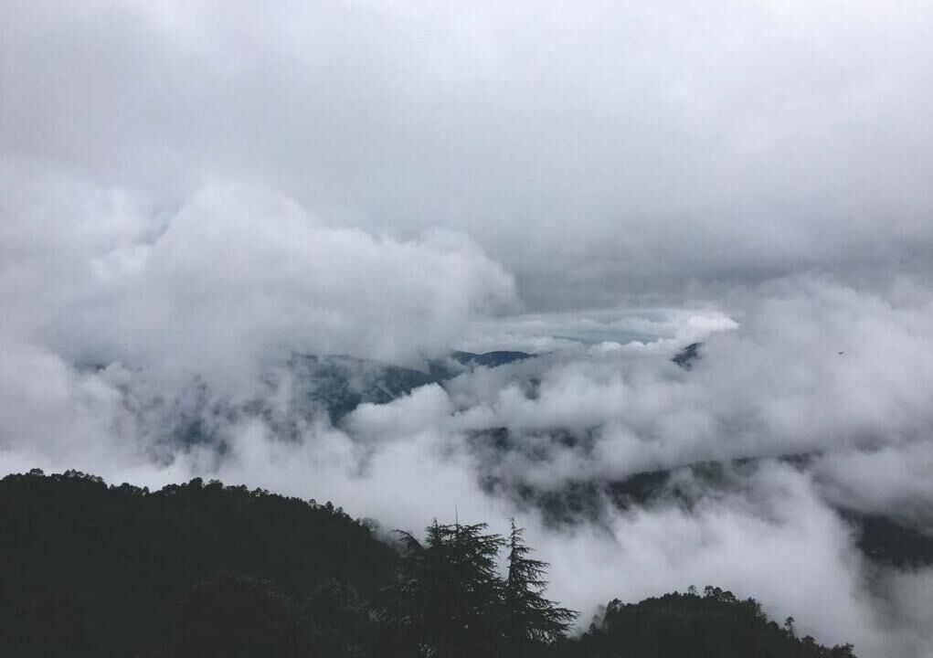 Photo of Others in Shimla