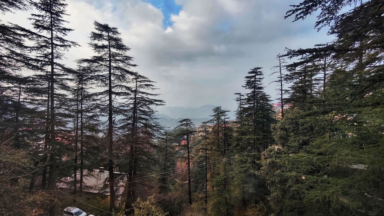 Photo of Others in Shimla