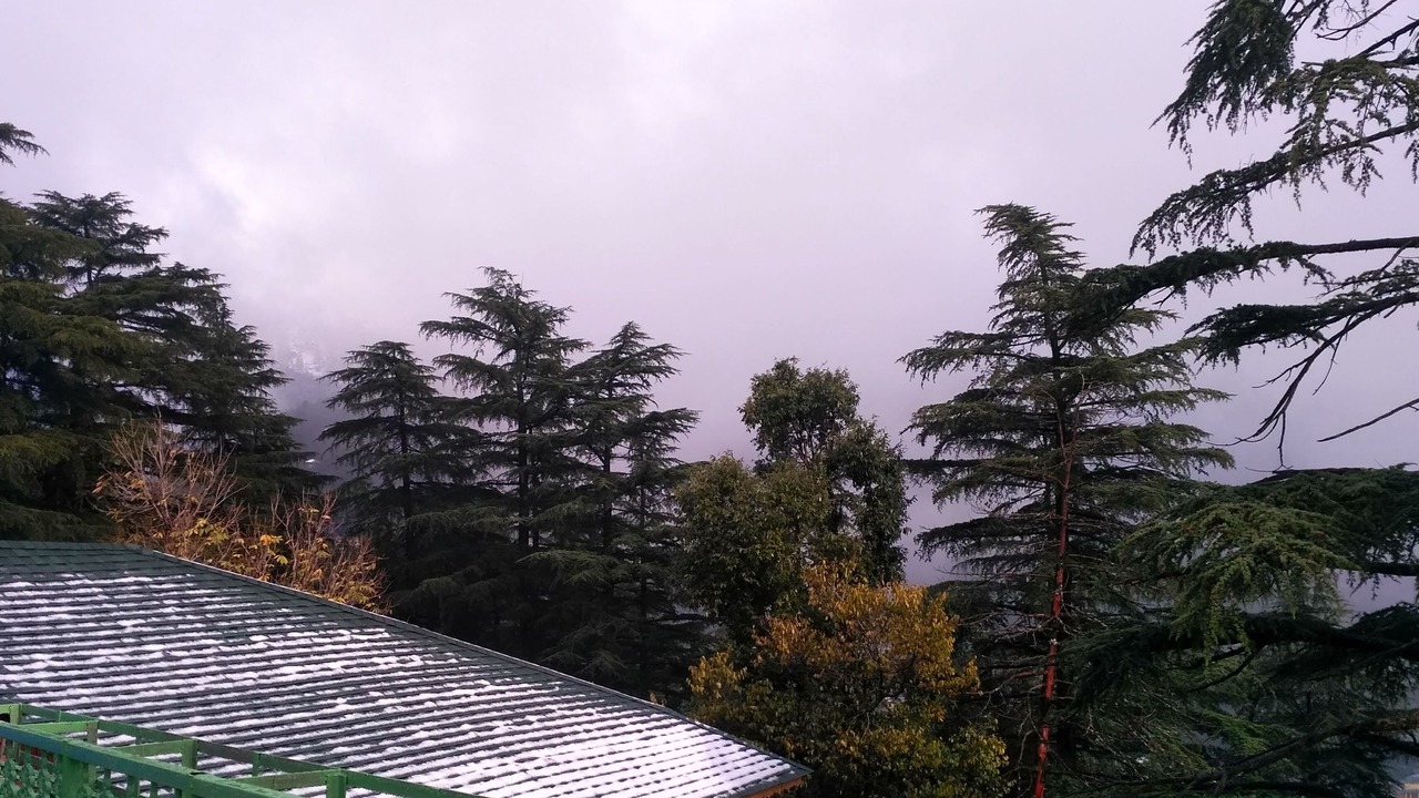 Photo of Bedroom in McLeod Ganj