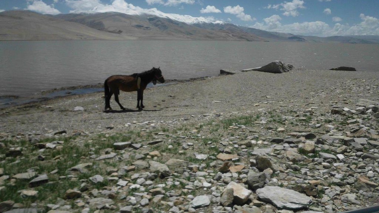 Photo of Outdoor in Karzok