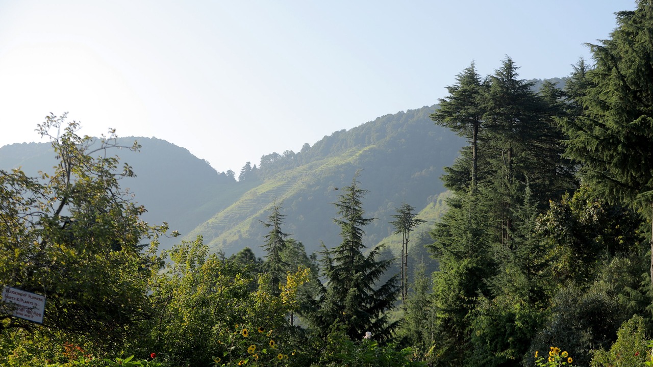 Photo of Others in Ramgarh