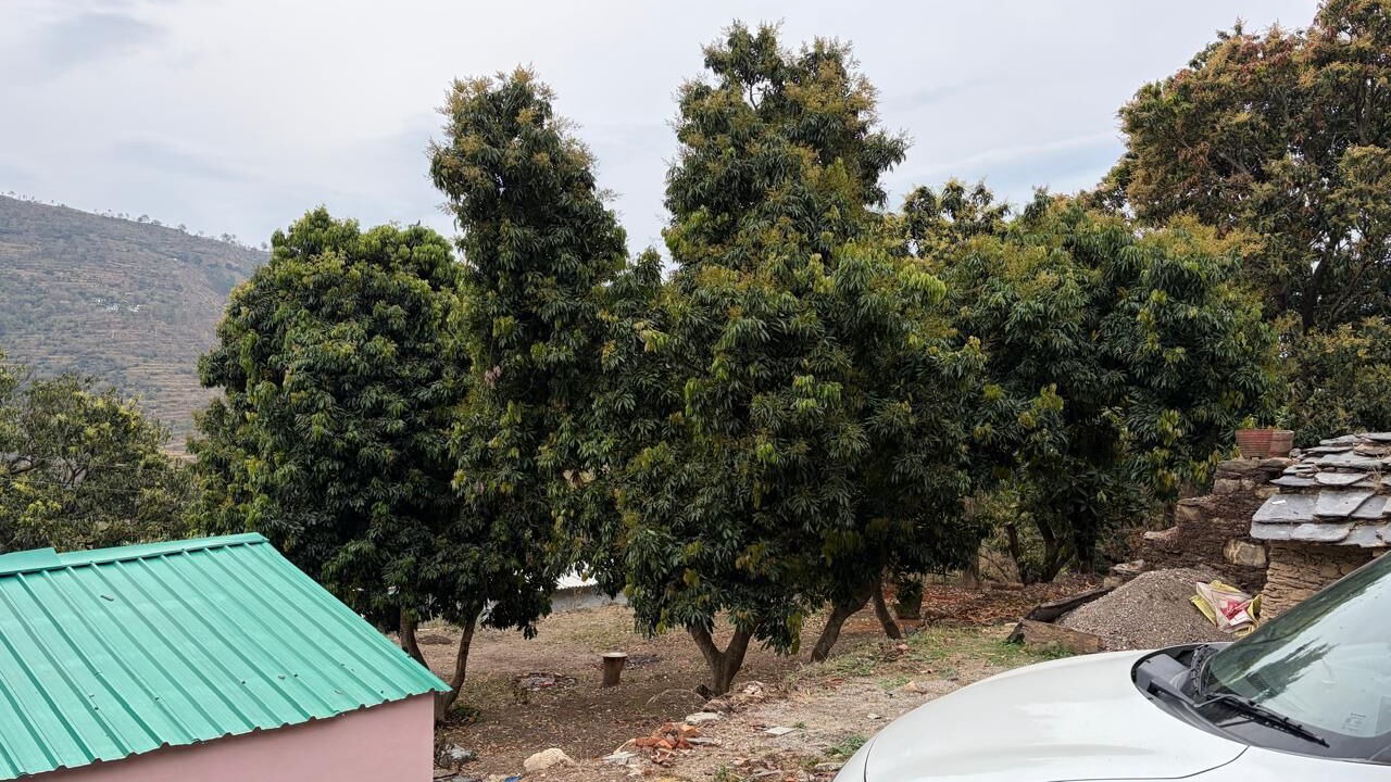 Photo of Outdoor in Marchula