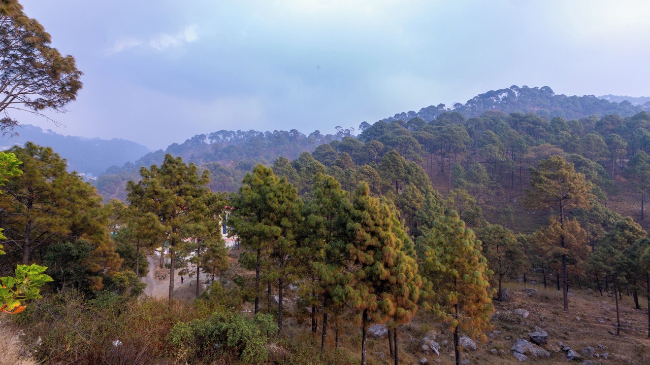 Photo of Others in Nainital
