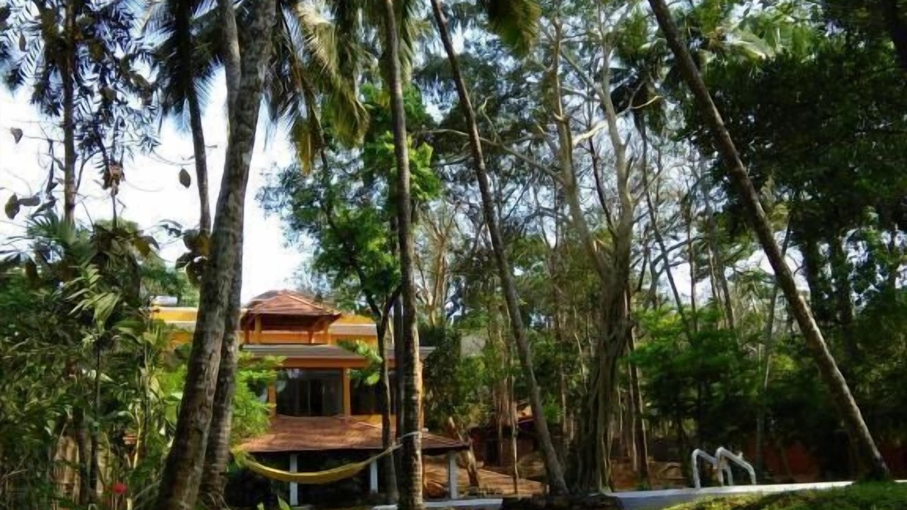 Photo of Outdoor in Assagao