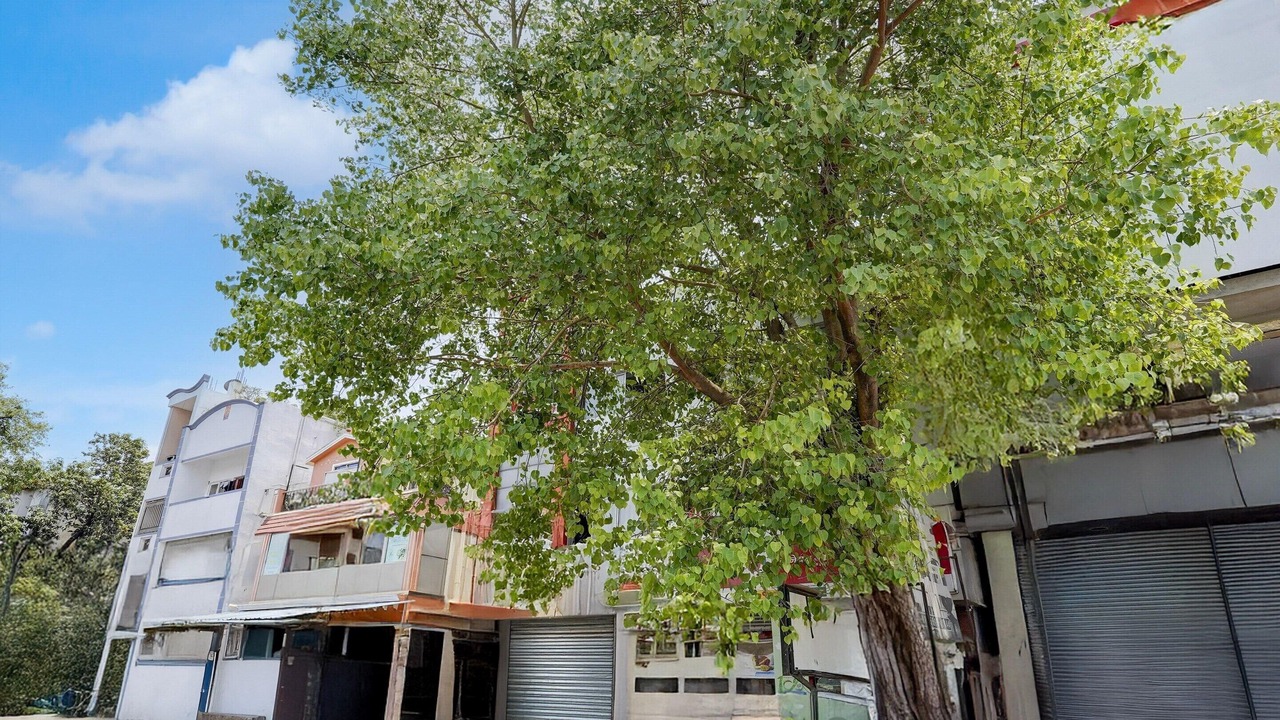 Photo of Outdoor in Central Chennai