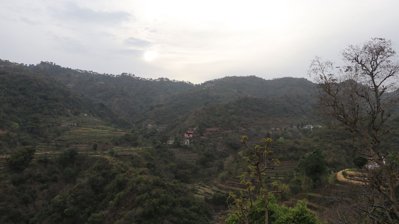 Photo of Others in Kalka
