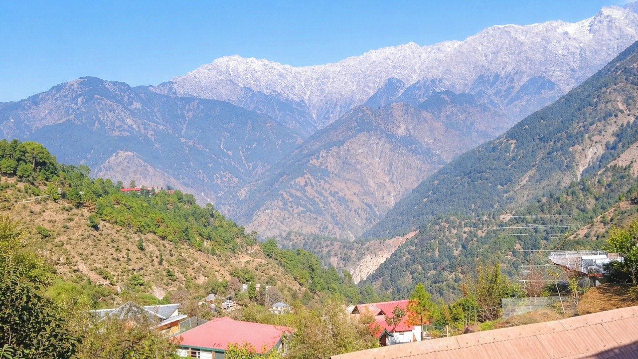 Photo of Others in Naddi