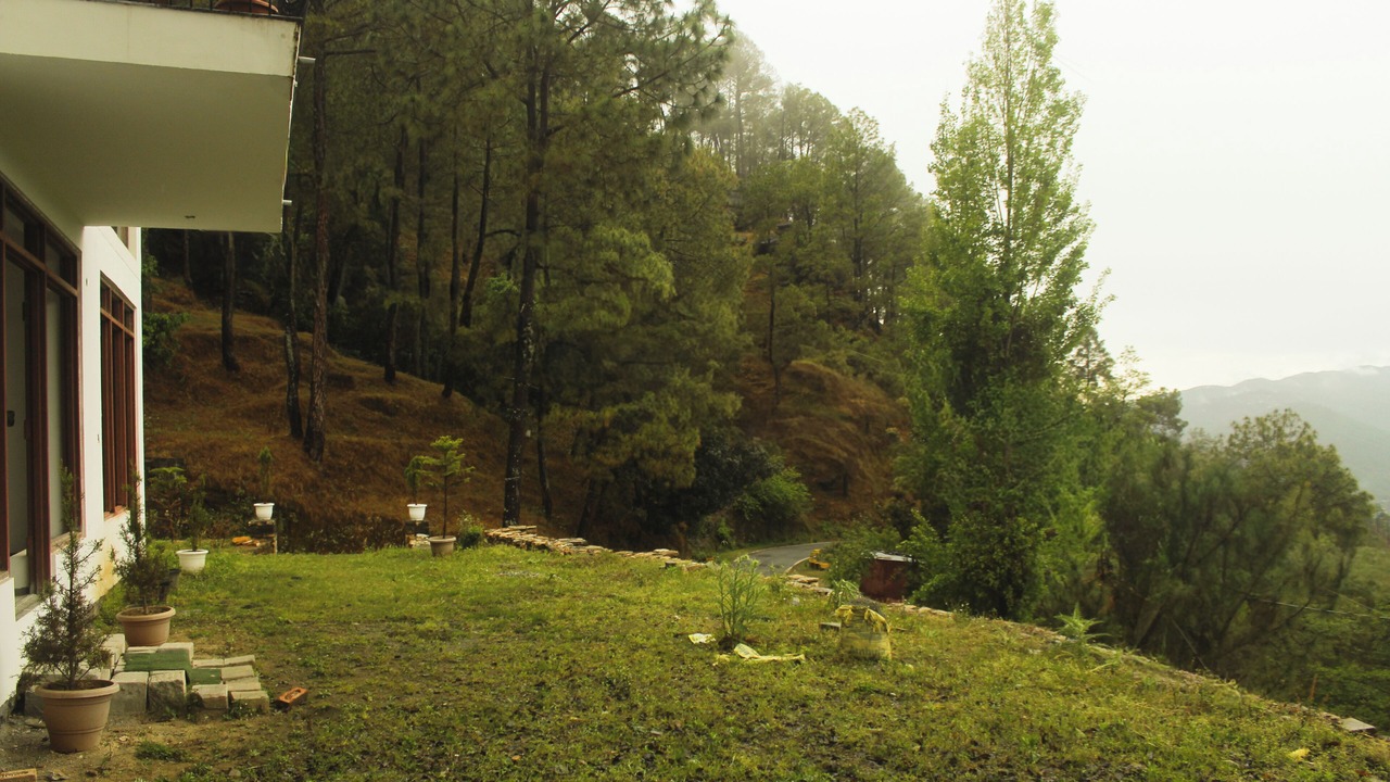 Photo of Outdoor in Almora