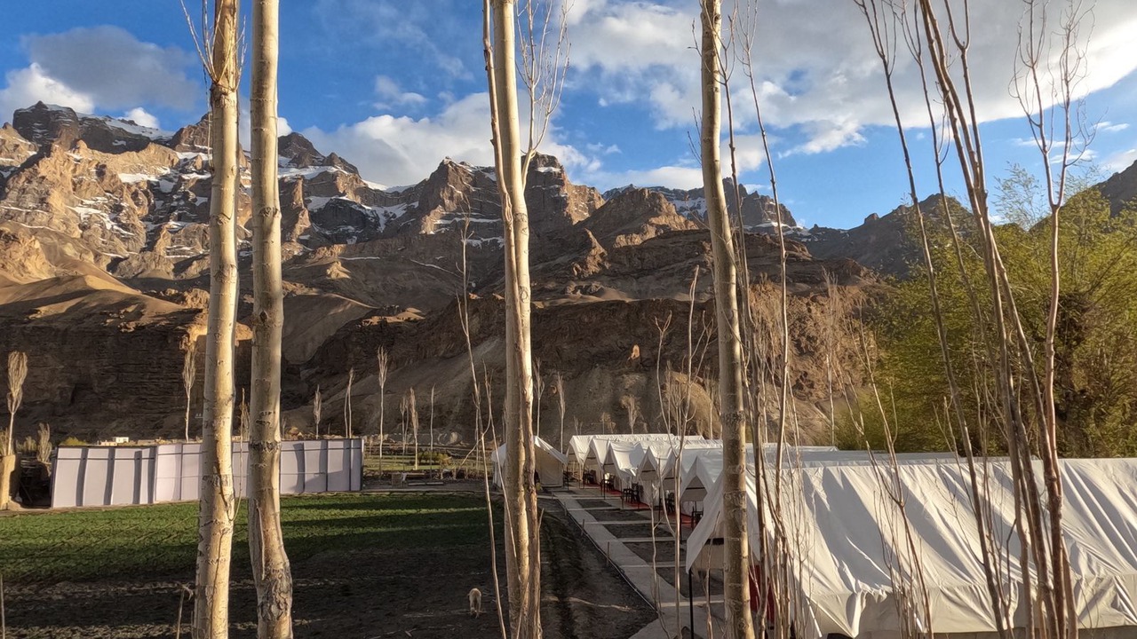 Photo of Others in Leh