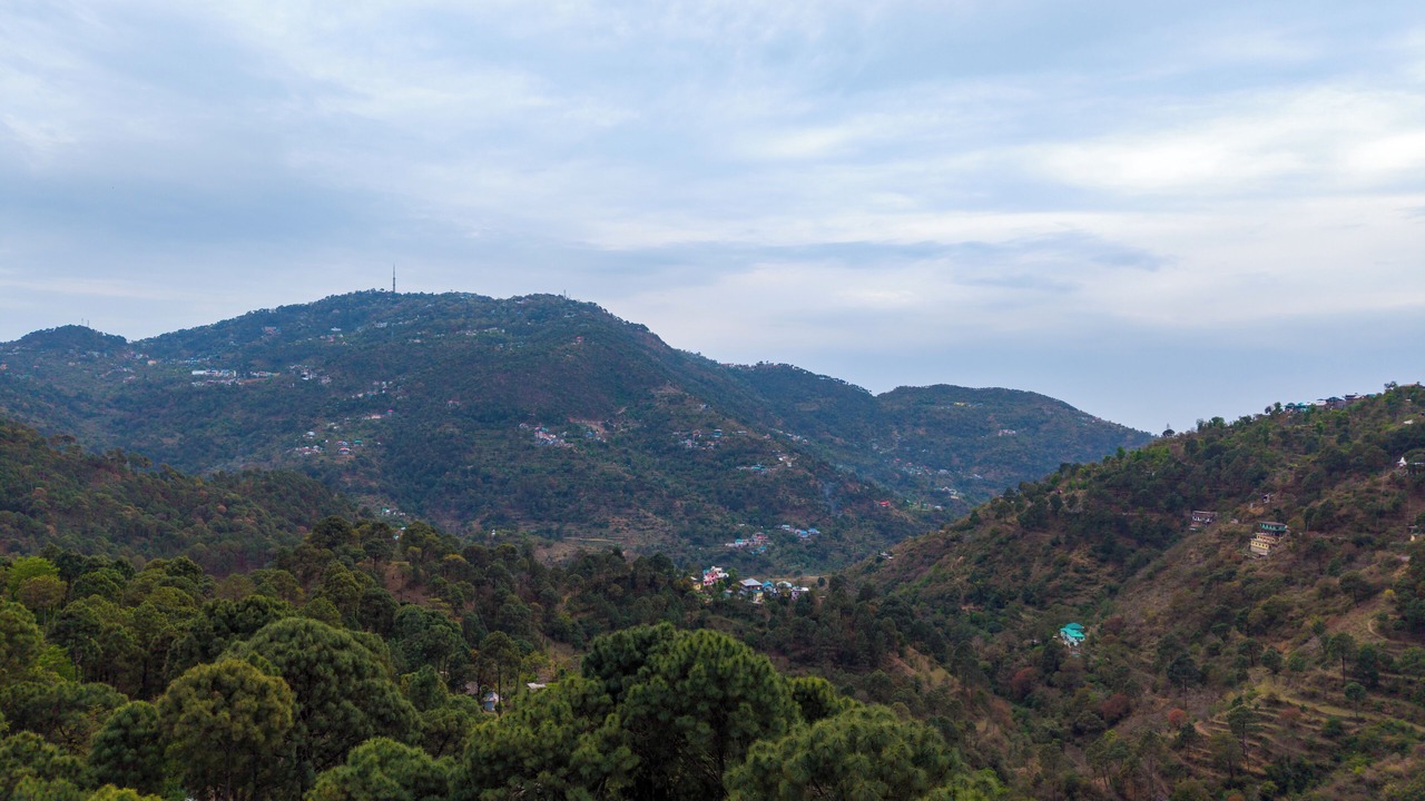 Photo of Others in Kasauli