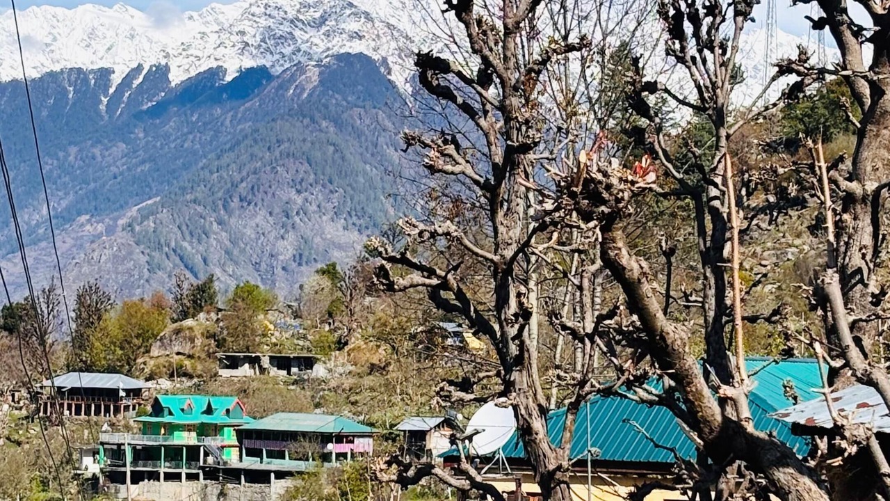 Photo of Others in Nichar