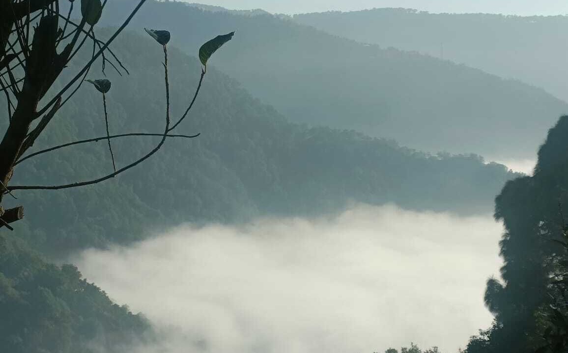 Photo of Others in Naina Range
