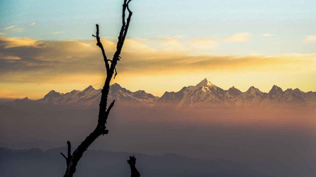 Photo of Outdoor in Almora