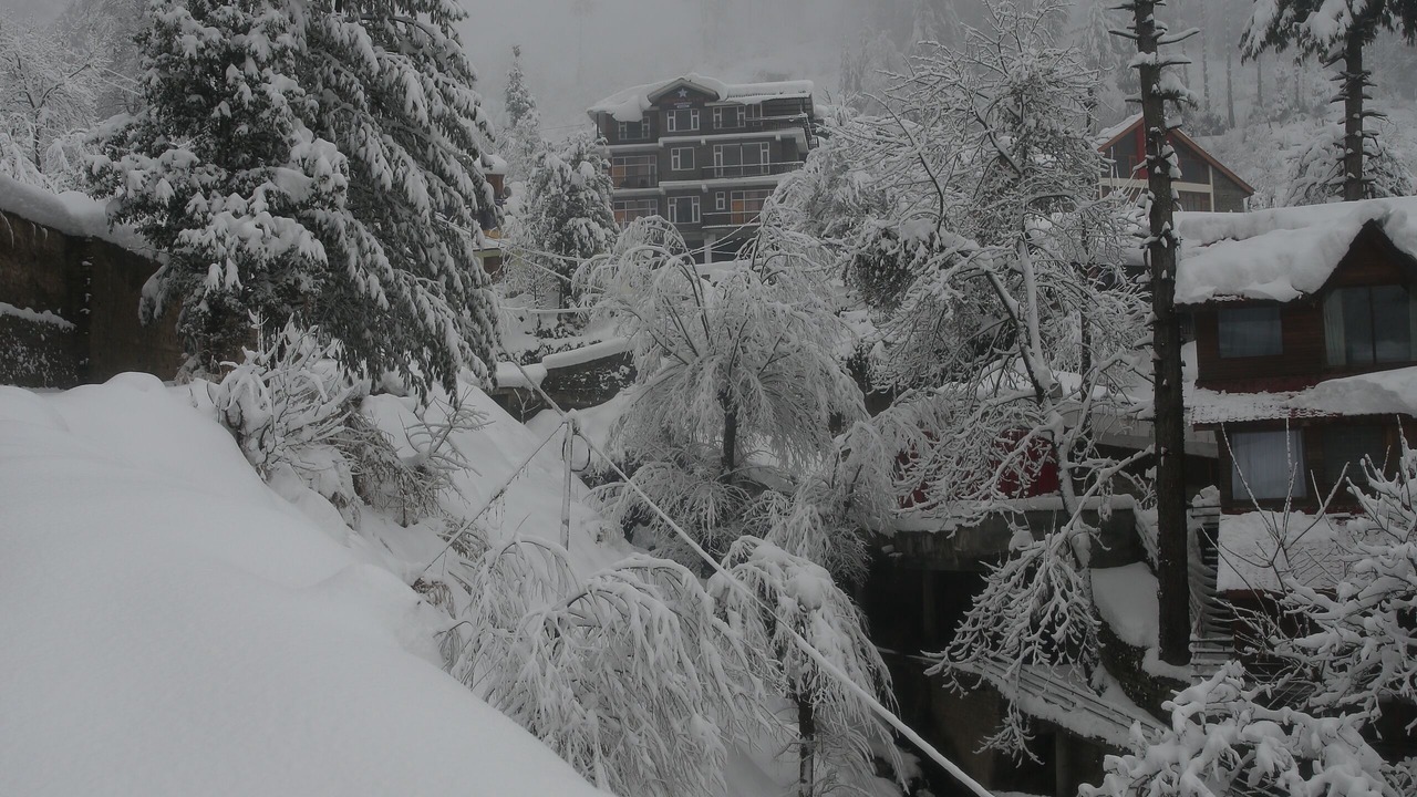 Photo of Bedroom in Vashist