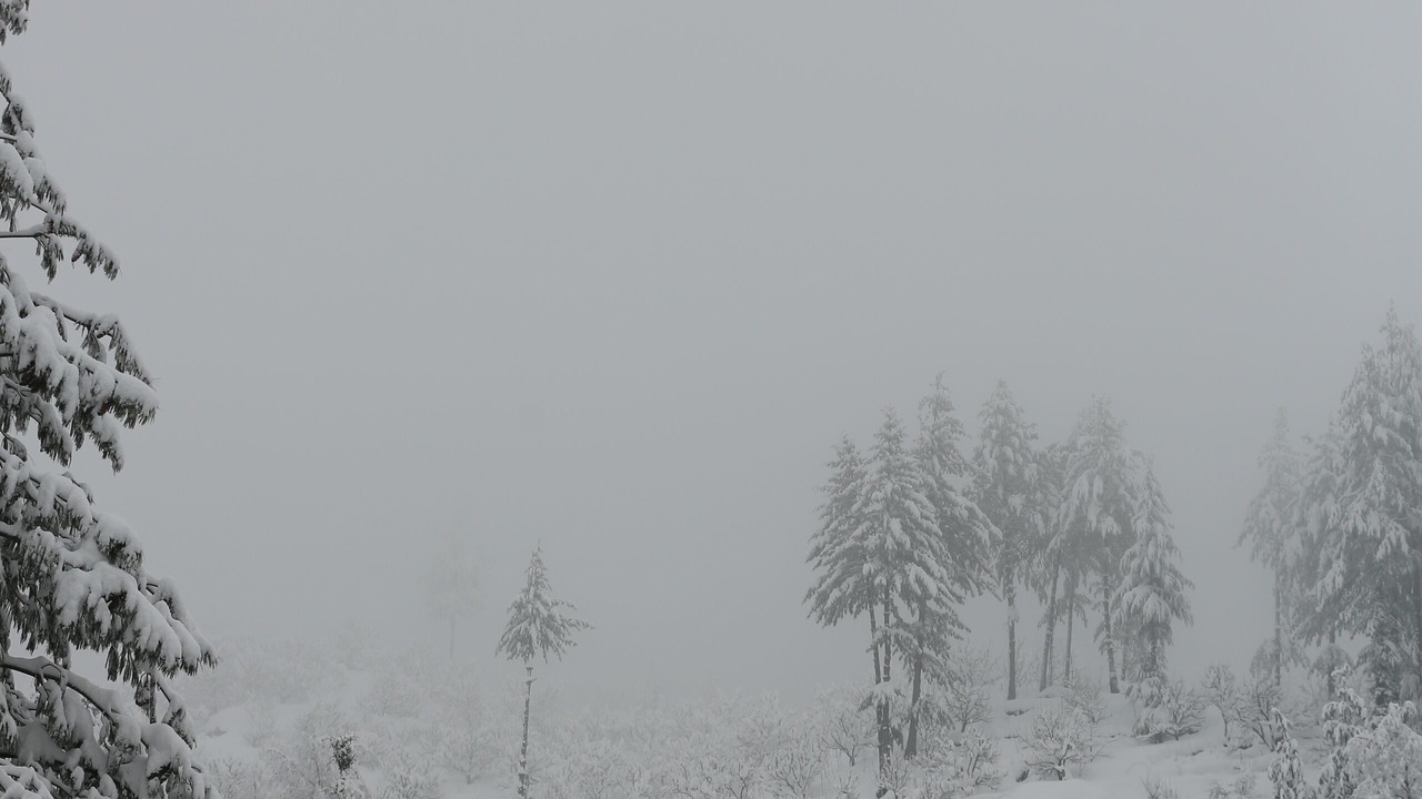 Photo of Outdoor in Vashist