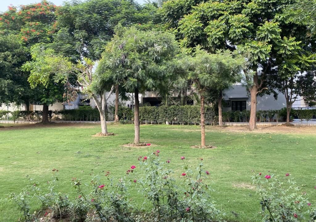 Photo of Outdoor in Ludhiana
