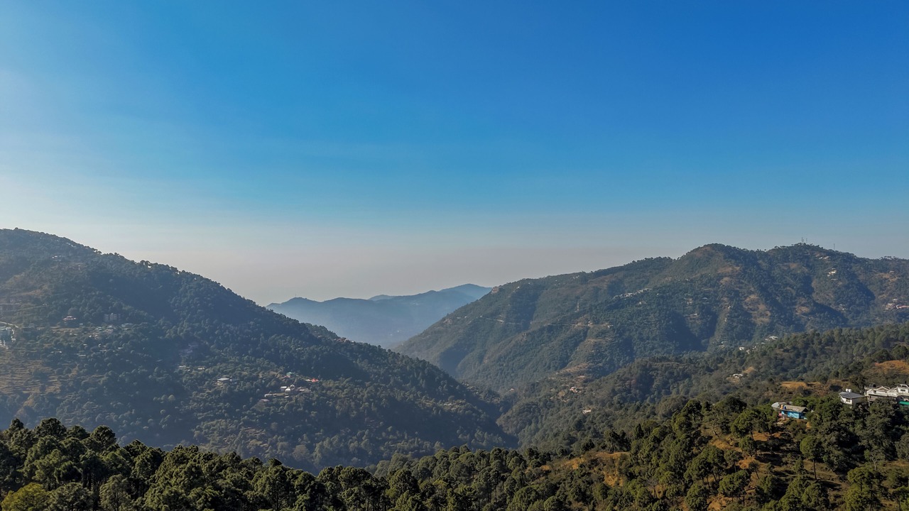 Photo of Others in Kasauli