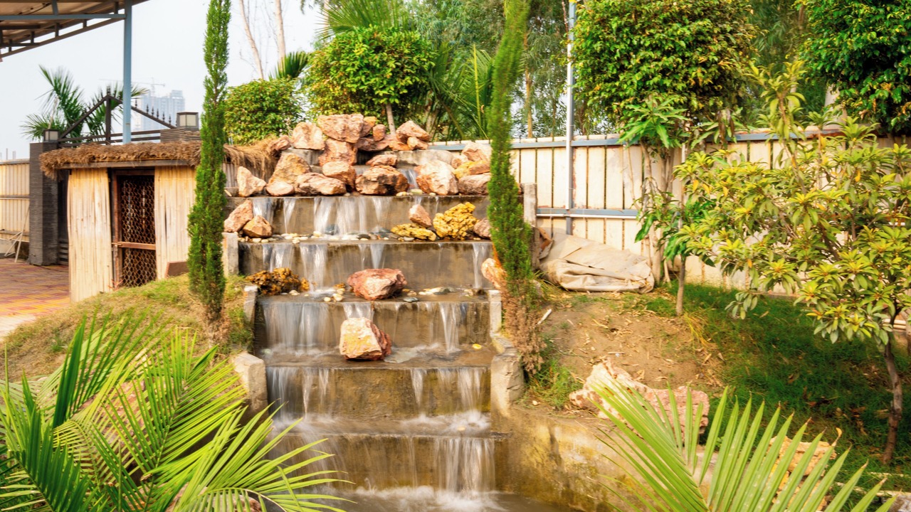 Photo of Outdoor in Noida