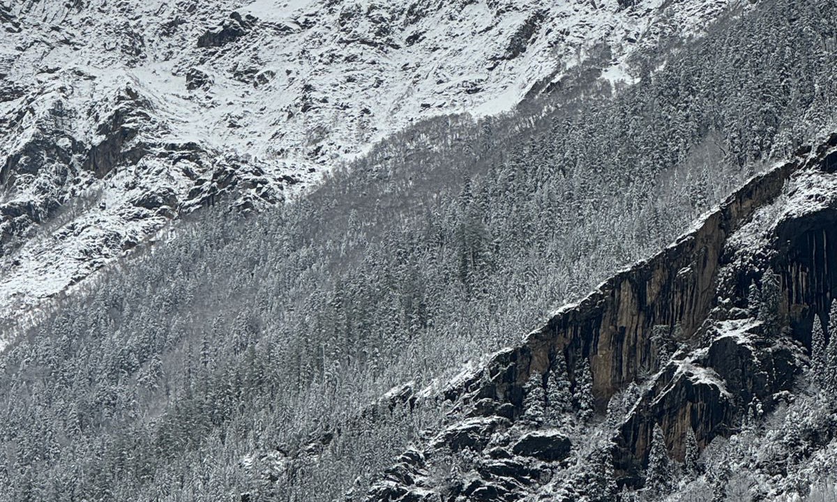 Photo of Others in Kullu