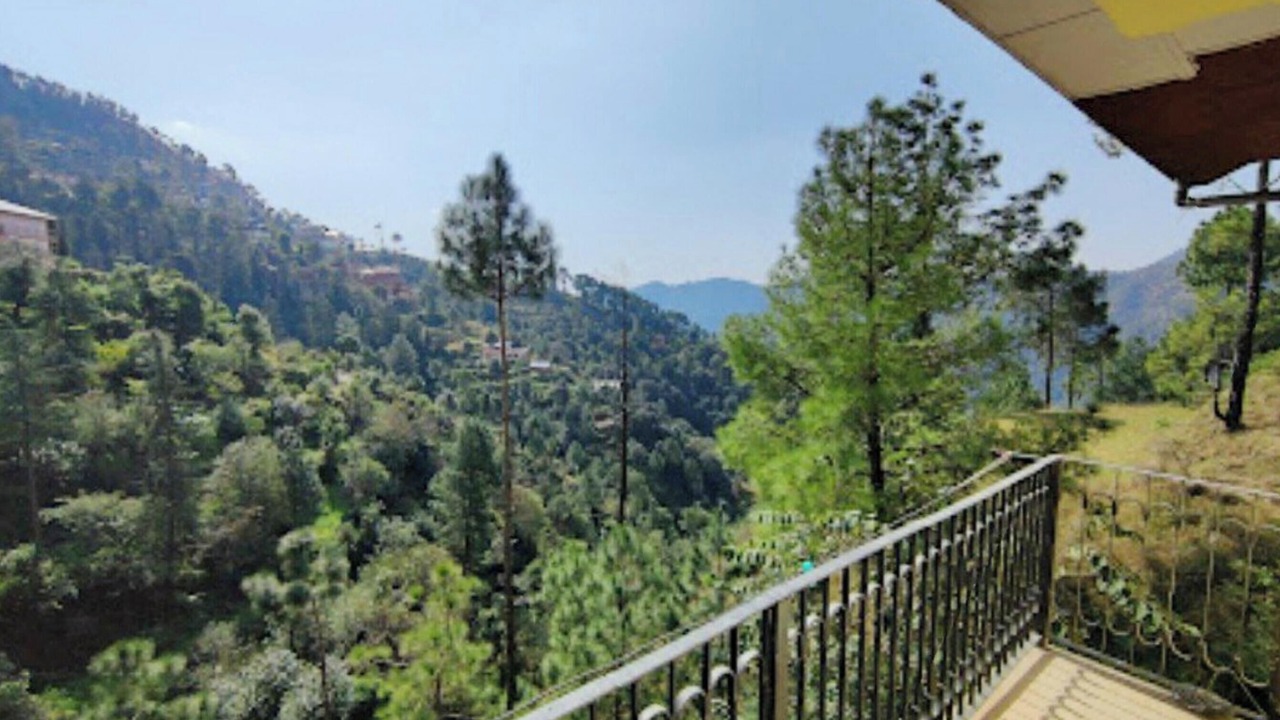 Photo of Others in Shimla