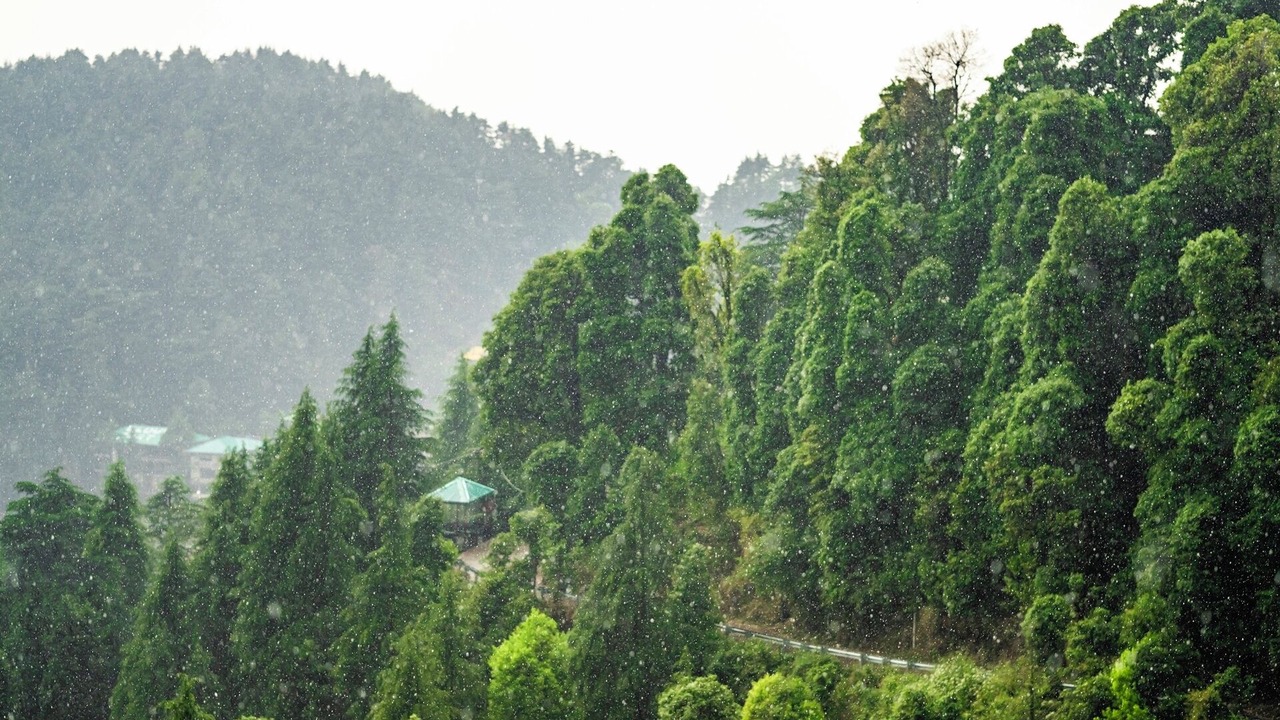 Photo of Outdoor in Dharamshala
