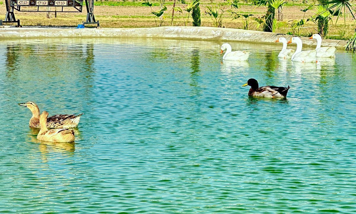 Photo of Outdoor in Kharar
