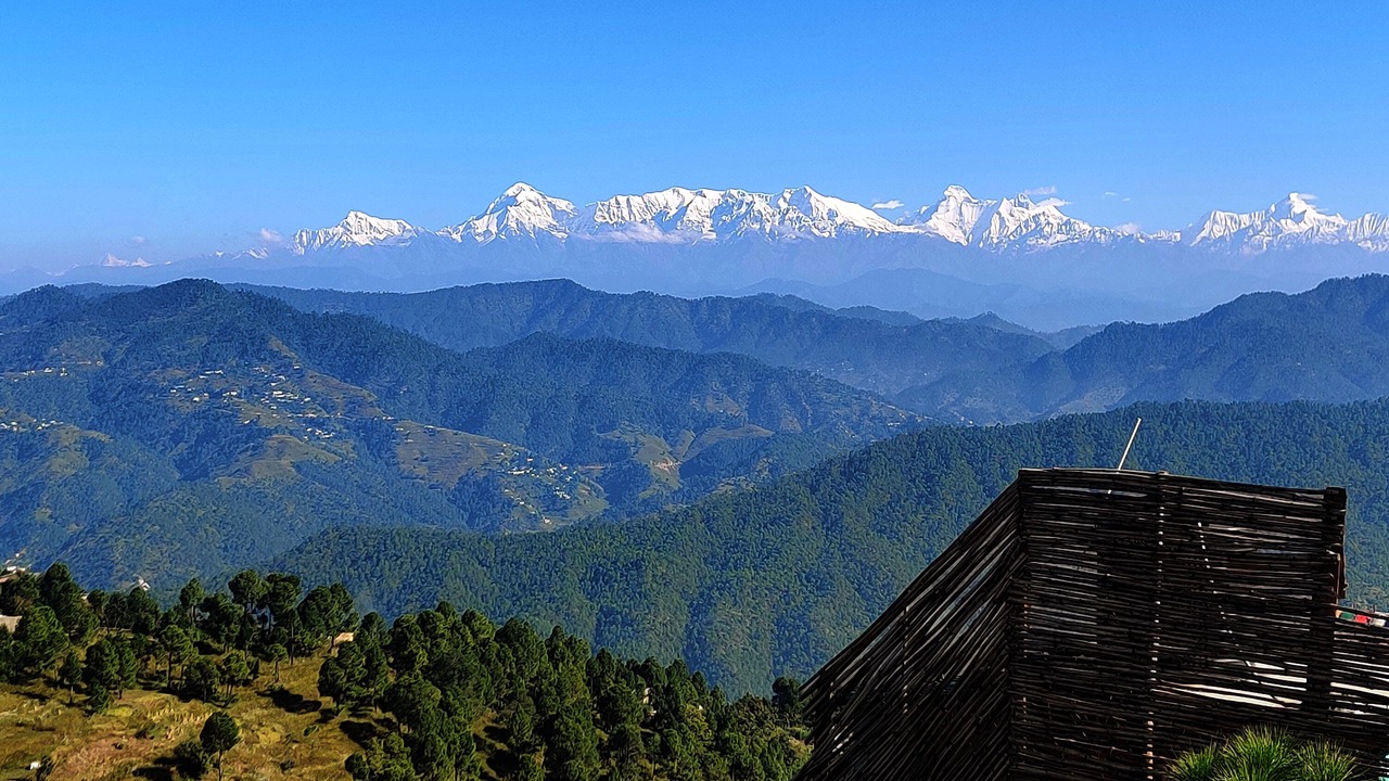 Photo of Others in Almora