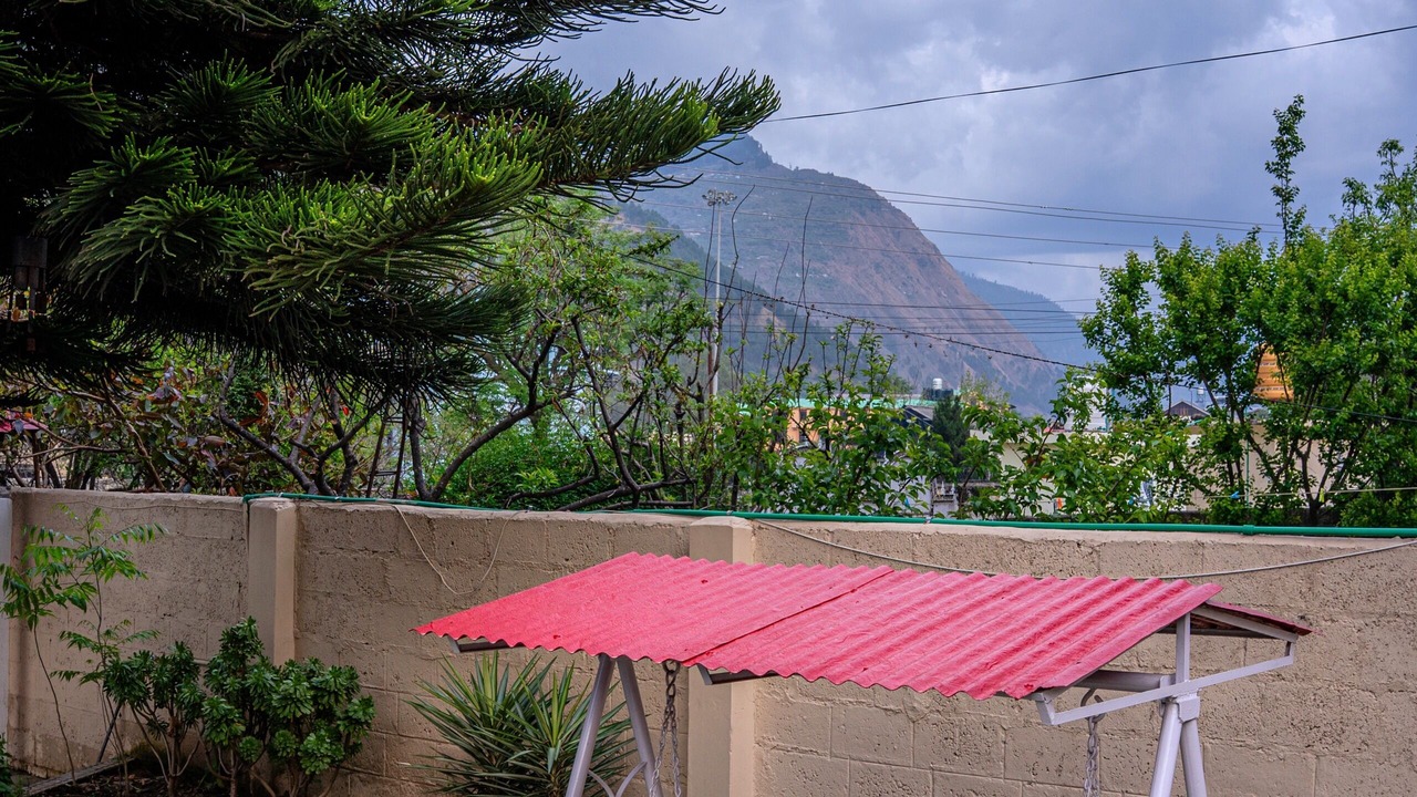 Photo of Outdoor in Mohal