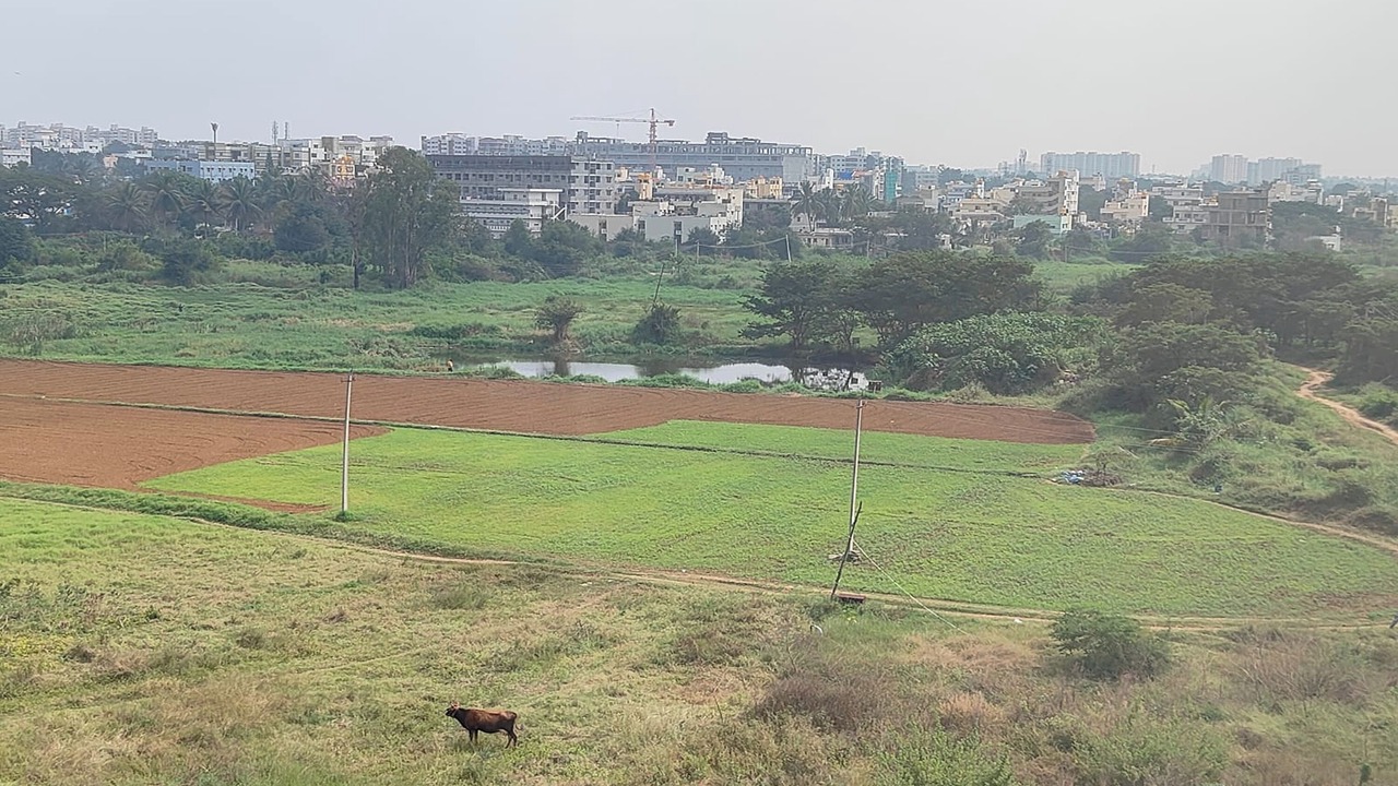 Photo of Outdoor in Bommasandra