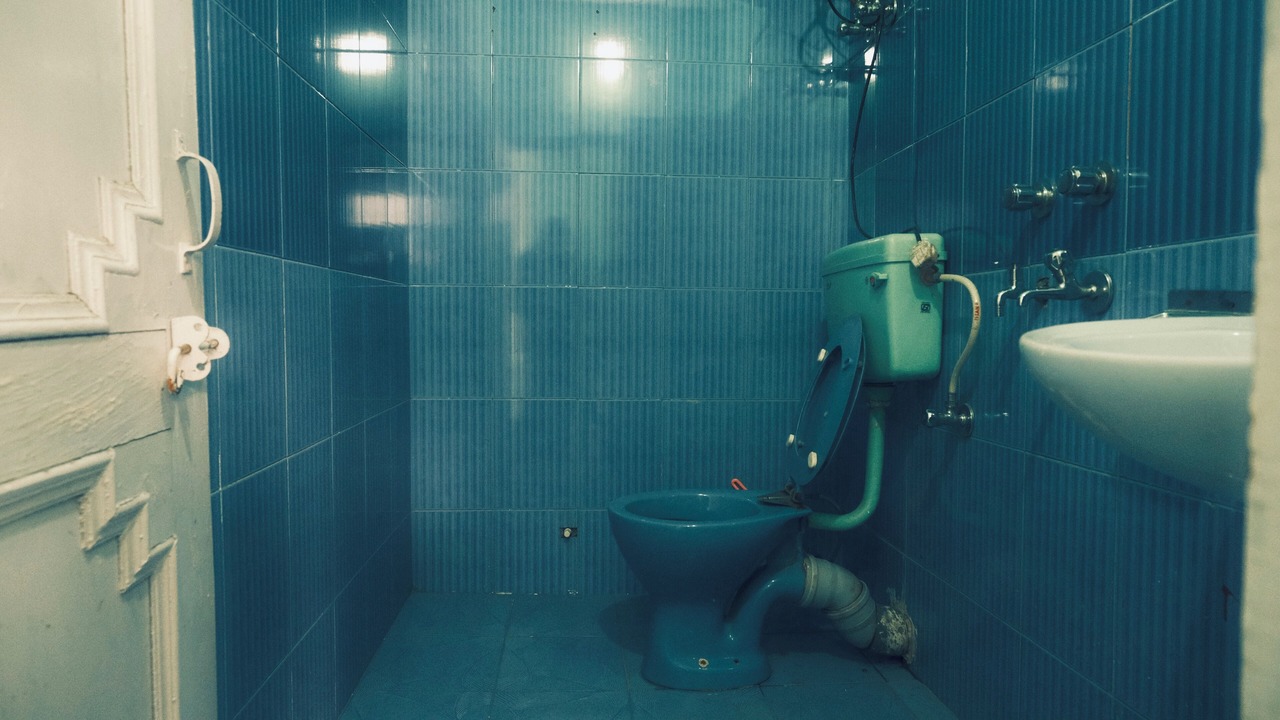 Photo of Bathroom in Sangla