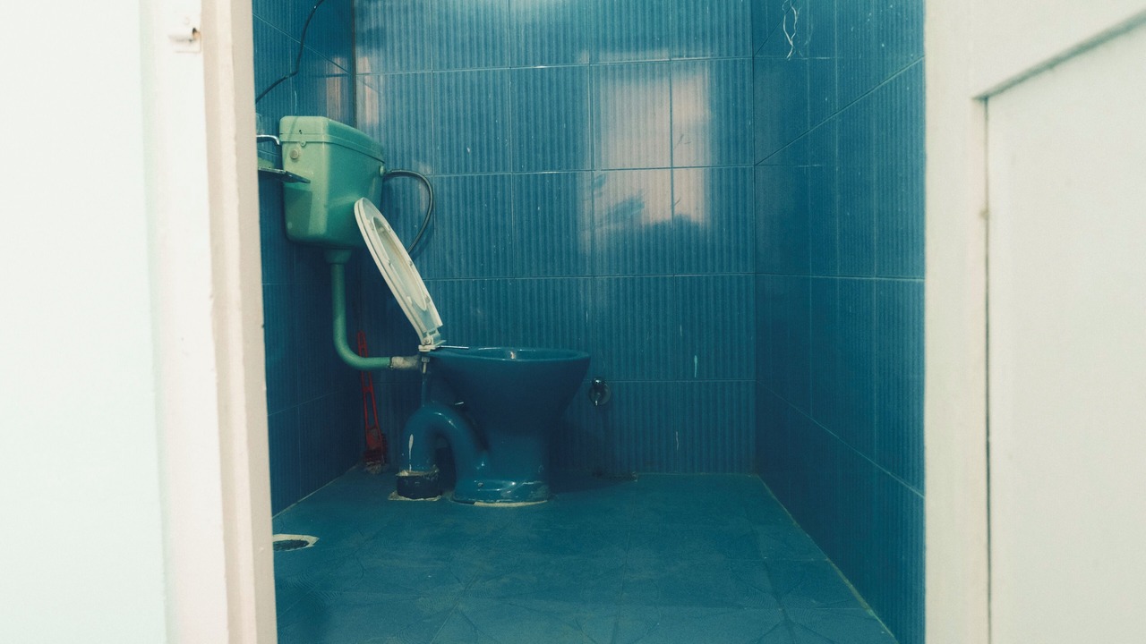 Photo of Bathroom in Sangla