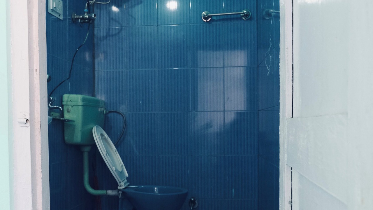 Photo of Bathroom in Sangla