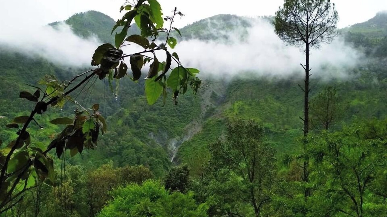 Photo of Outdoor in Kaul