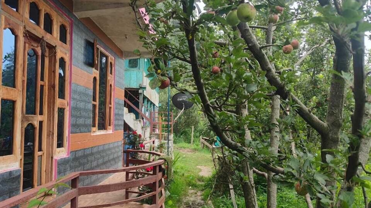 Photo of Outdoor in Mohal